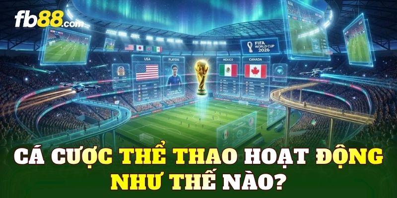 Cá cược thể thao hoạt động như thế nào?