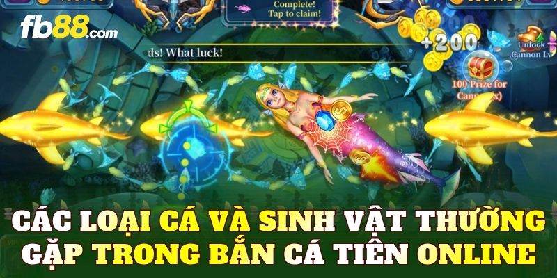 Các loại cá và sinh vật thường gặp trong bắn cá tiên online