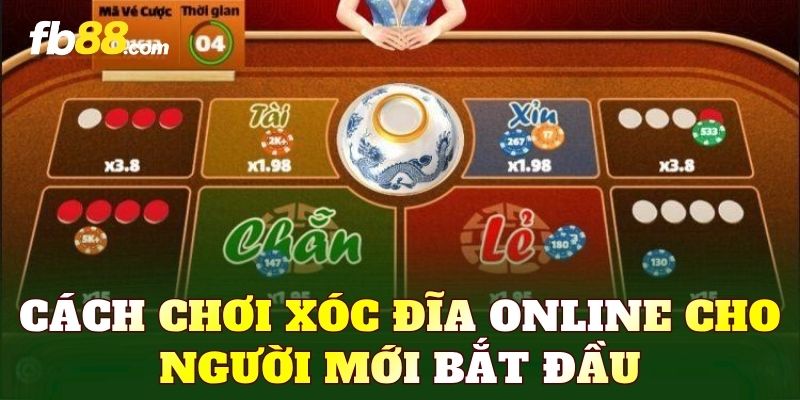 Cách chơi xóc đĩa online cho người mới bắt đầu