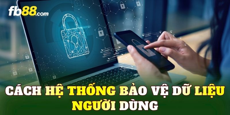 Cách hệ thống bảo vệ dữ liệu người dùng