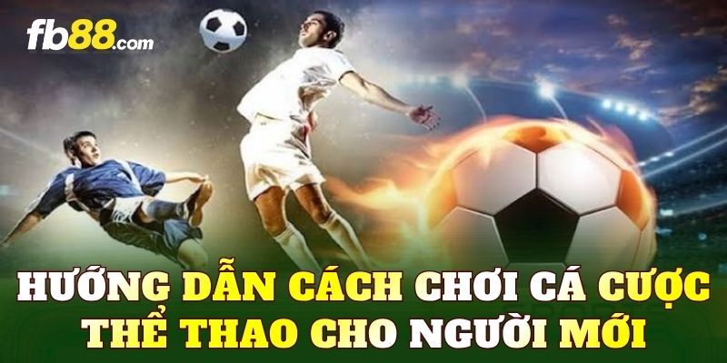 Hướng dẫn cách chơi cá cược thể thao cho người mới