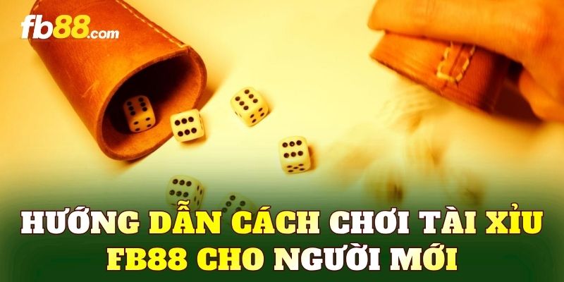Hướng dẫn cách chơi tài xỉu FB88 cho người mới