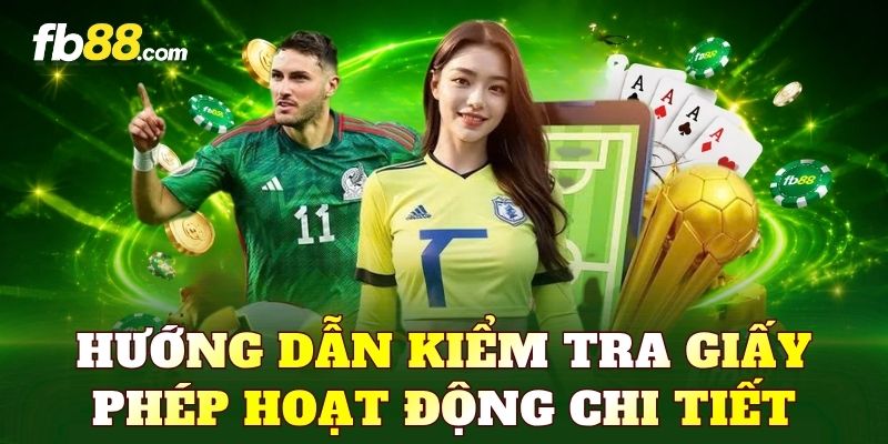 Hướng dẫn kiểm tra giấy phép hoạt động chi tiết