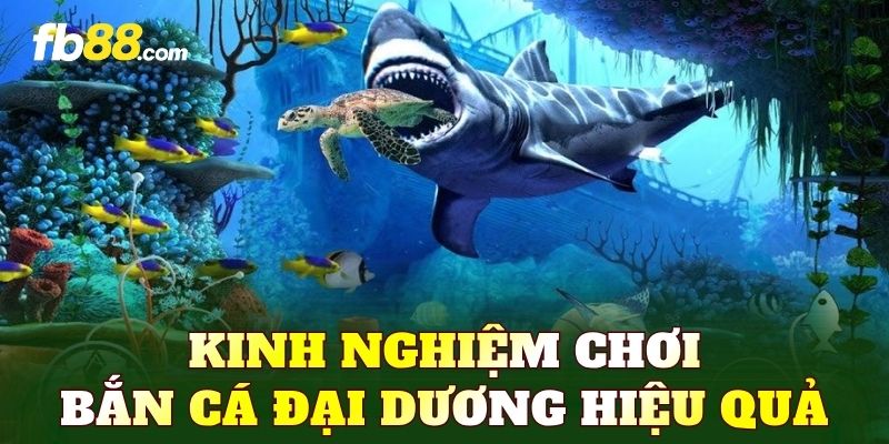 Kinh nghiệm chơi bắn cá đại dương hiệu quả