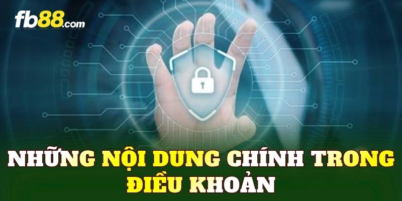 Những nội dung chính trong điều khoản