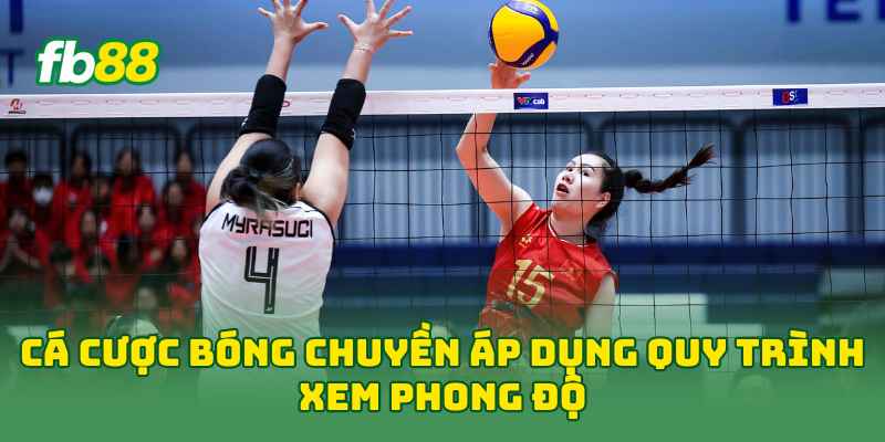Cá Cược Bóng Chuyền áp dụng quy trình xem phong độ