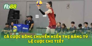 Cá Cược Bóng Chuyền hiển thị bảng tỷ lệ cược chi tiết
