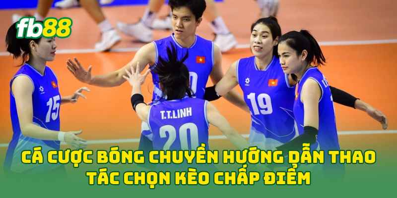 Cá Cược Bóng Chuyền hướng dẫn thao tác chọn kèo chấp điểm