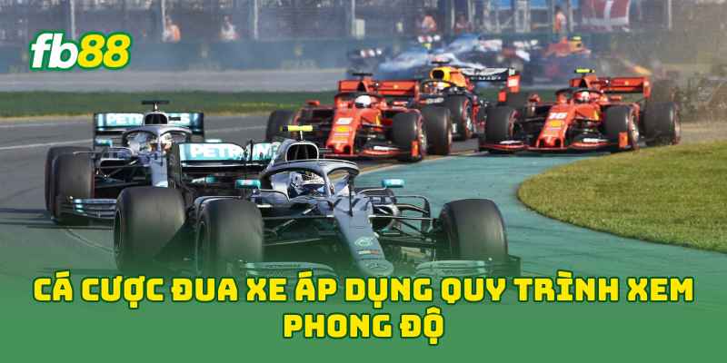 Cá Cược Đua Xe áp dụng quy trình xem phong độ 