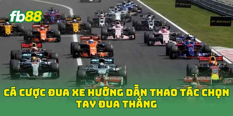 Cá Cược Đua Xe hướng dẫn thao tác chọn tay đua thắng