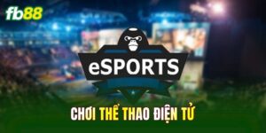 Chơi Thể Thao Điện Tử