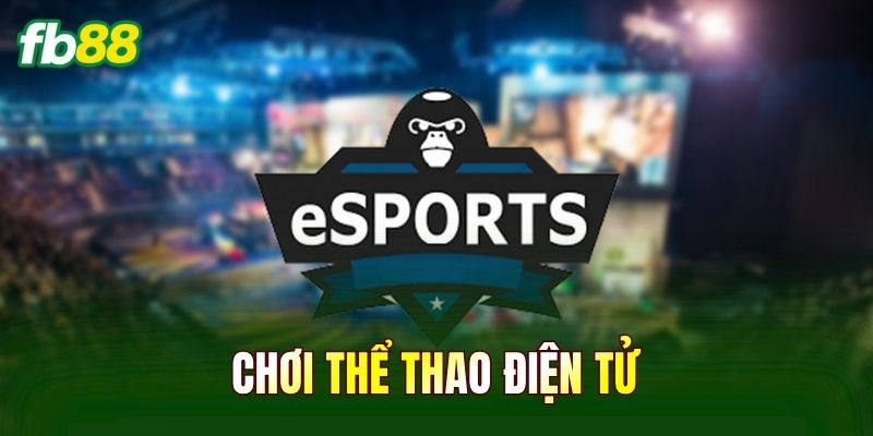 Chơi Thể Thao Điện Tử